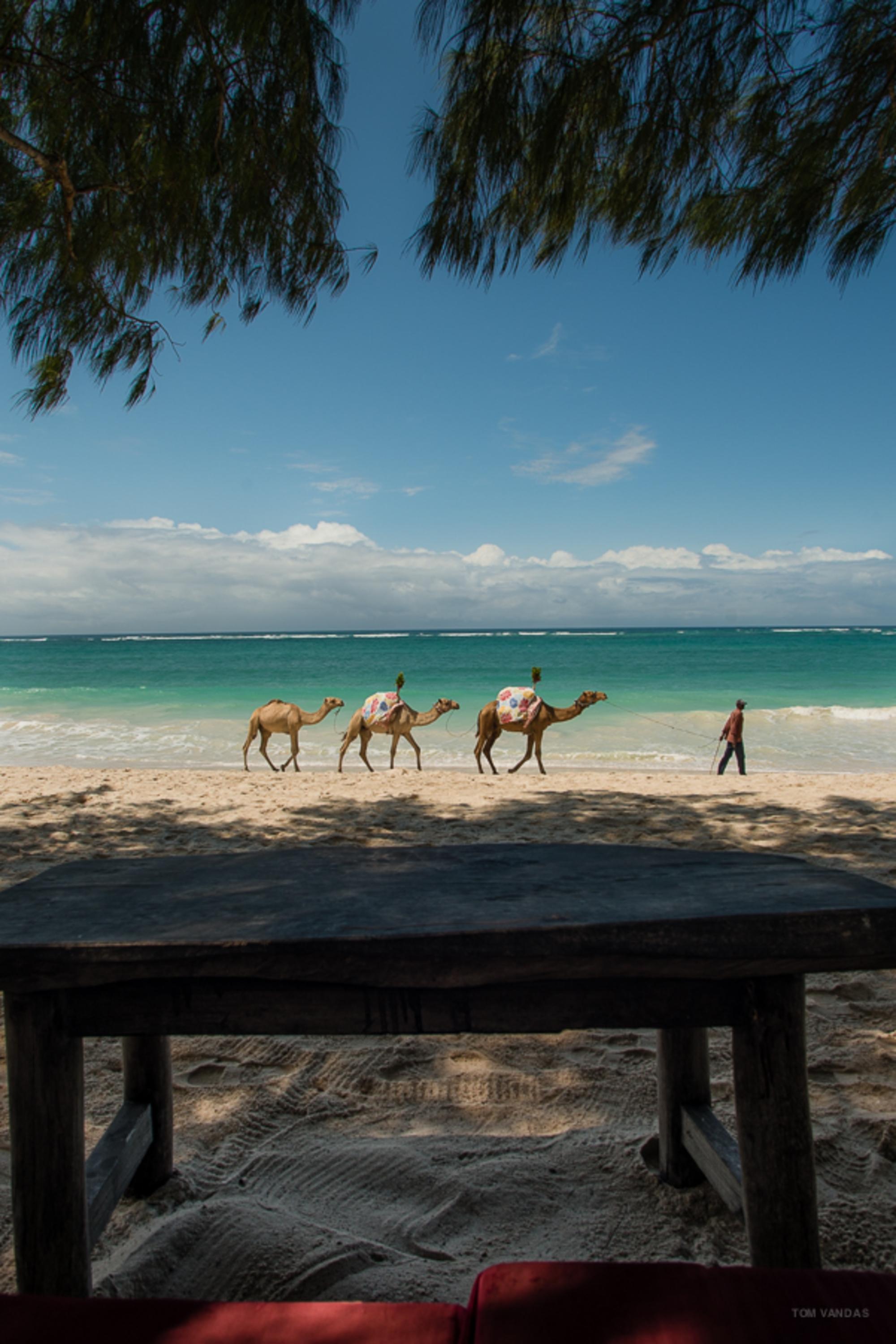 Bahari Dhow Beach Villas Diani Beach Εξωτερικό φωτογραφία